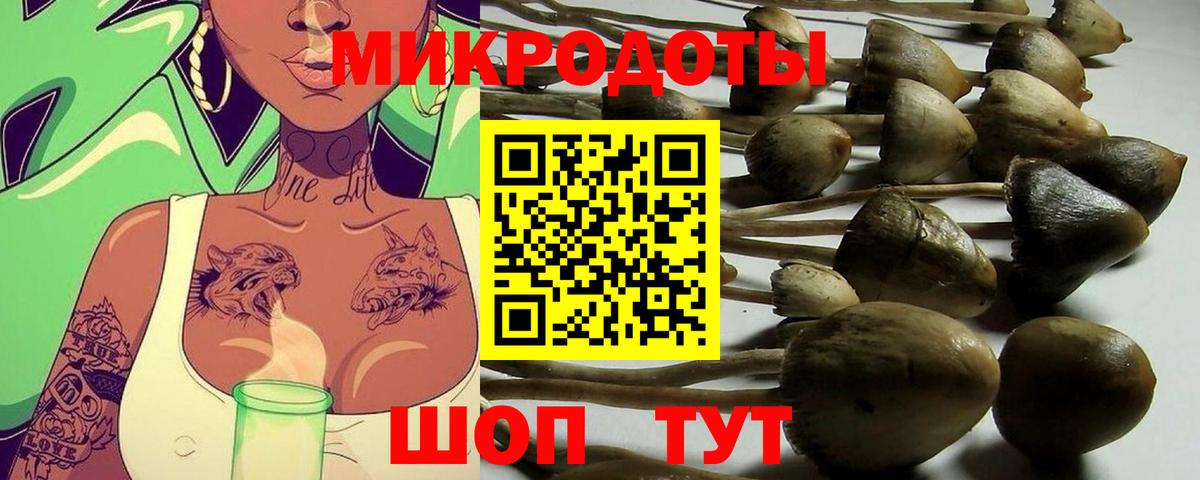 Псилоцибиновые грибы Psilocybe  Вход с VPN  Углич 